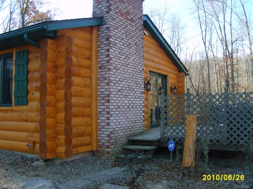 3x10 log siding with saddle notch points.