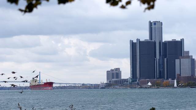 Detroit Lumber Supply
