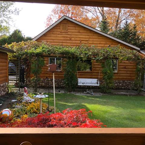 A properly maintained exterior of a log house
