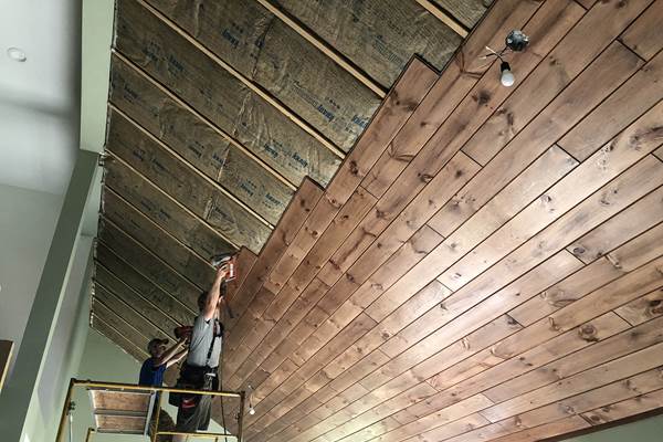 Installing 1x8 tongue and groove pine paneling with a gunstock pre-stain.